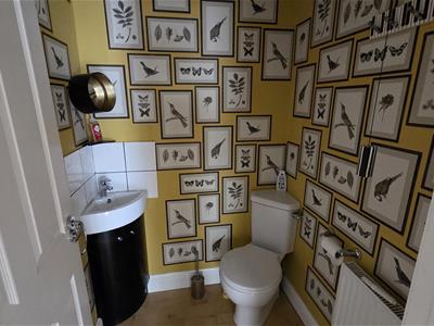 Picture 30